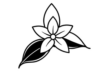 Jasmine vector silhouette illustration isolated on white background