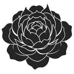 Peony vector silhouette illustration isolated on white background