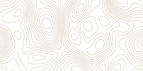 Fototapeta premium Topography and geography map grid abstract backdrop. Abstract topographic contours map background. Contour Line Pattern in Black and White.