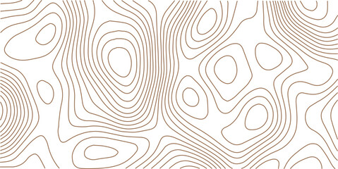 Fototapeta premium Similar cartography illustration. Topographic contour map. Topography and geography map grid abstract backdrop. Business concept. Fish Fillet Texture, Salmon fillet texture, fish pattern. paper textur