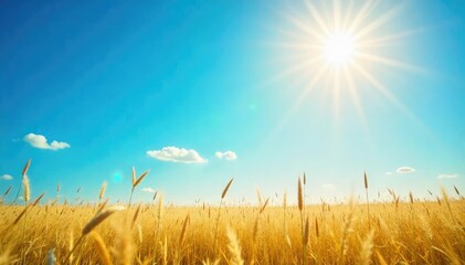 Obraz premium A vibrant, cloudless blue sky stretches overhead, bathed in the warm, golden light of a sunny day Perfect for backgrounds, summer themes, or optimistic projects , open sky, nature