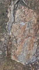 Natural Stone Texture Background with Rough Surface