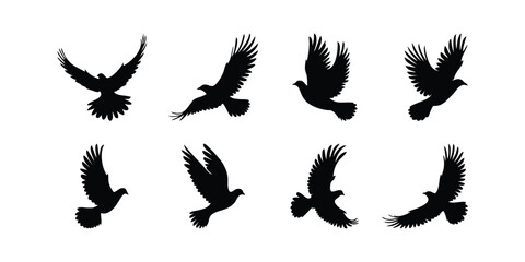 Flying bird silhouette vector collection. Set of black flying bird icons in various poses. Simple and elegant vector designs for logos, tattoos, nature designs and other creative design projects.