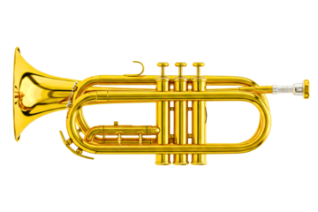 Shiny brass cornet with three valves rests isolated on a transparent background