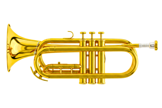 Shiny brass cornet with three valves rests isolated on a transparent background