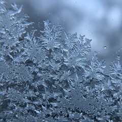 Fototapeta premium Close-up of intricate ice crystals and frost patterns forming on a surface, creating a delicate, wintery texture.