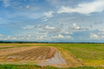 Obraz premium The sky is clear and bright with a few clouds.