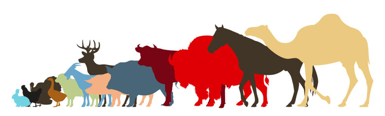 Colorful Farm and Domesticated Animal Vector Set