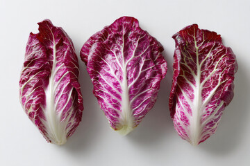 Obraz premium Venetian radicchio leaves on white studio setup