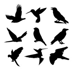 Bird Silhouettes Collection – Flying and Perching Birds Vector Set