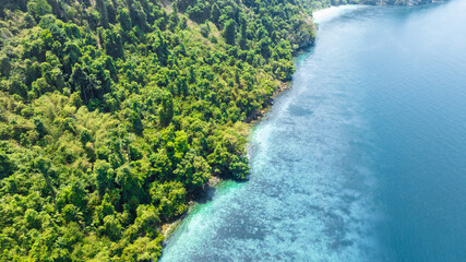 Aerial view of the dark green forest and the sea. Natural ecosystems of forests and oceans. concept...