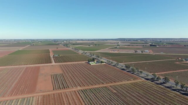 Aerial: Drone shot of fields and vineyards near Griffith, NSW Australia