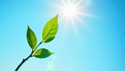 Obraz premium A fresh start to the week, symbolized by a single, vibrant green branch extending towards sunlight against a clear blue sky Hopeful, optimistic and full of potential , renewal, light