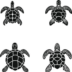 turtle vector illustration