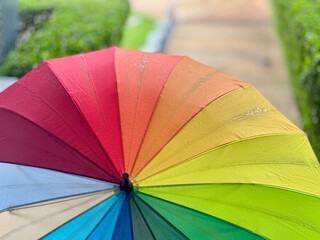 colorful umbrella in the rain