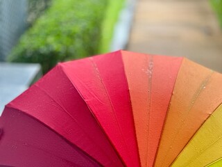 colorful umbrella on the beach