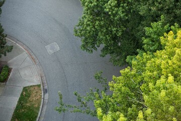 High angle view of trees by empty road