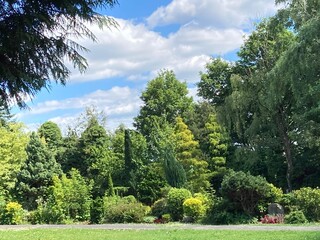 Zauberhafte Landschaft auf Parkfriedhof in der Natur im Sommer