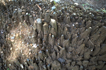 Small pebbles as caps on pedestal, indicator of raindrop splash erosion, called pedestal erosion