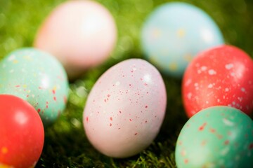 Close-up of Easter eggs in garden