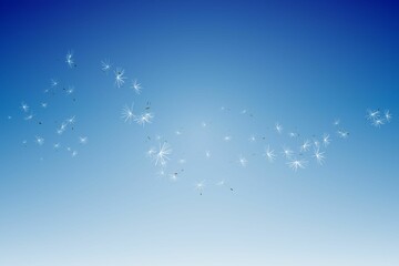 Digitally generated dandelion seeds against blue sky