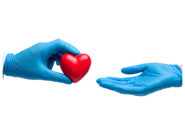 Transparent PNG available
doctor hands giving a red heart, health care, organ donation, family life insurance, world heart day, world health day, praying concept.
