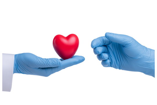 Transparent PNG available
doctor hands giving a red heart, health care, organ donation, family life insurance, world heart day, world health day, praying concept.