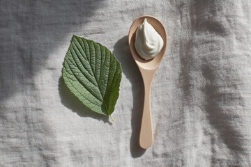 Natural Skincare Set with Cream and Leaf on Wooden Spoon