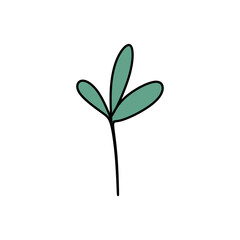 cute floral elements with soft colors and outlines. flowers, leaves, stems