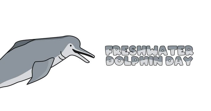 freshwater dolphin day motion video, ideal for freshwater dolphin day celebration