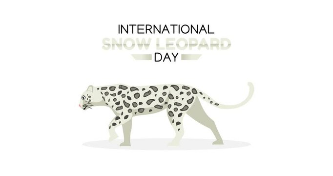 international snow leopard day motion video, ideal for international snow leopard day celebration