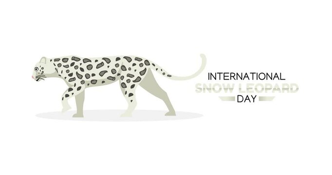 international snow leopard day motion video, ideal for international snow leopard day celebration