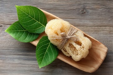 Natural Loofah Pad on a Wooden Plate with Green Leaves