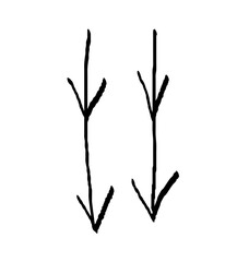 Fototapeta premium Emphasis arrow vector icon. Design doodle arrow grunge line. Vector