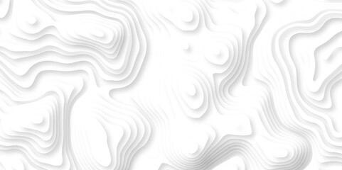 Papercut layers and paper cut topography vector art background banner texture. Abstract white paper cut background with realistic shapes. Modern vector illustration for concept design.	