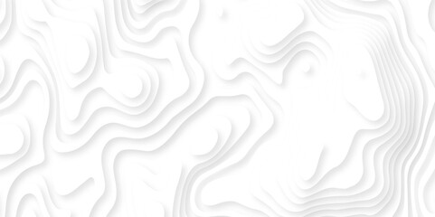 Papercut layers and paper cut topography vector art background banner texture. Abstract white paper cut background with realistic shapes. Modern vector illustration for concept design.	