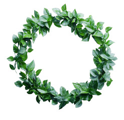A green wreath made of leaves