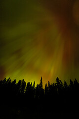 Spectacular displays of shimmering light from Aurora Borealis in the night sky. It was an amazing display of the Northern Lights