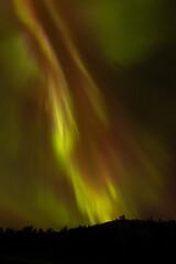Spectacular displays of shimmering light from Aurora Borealis in the night sky. It was an amazing display of the Northern Lights
