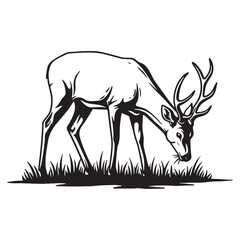 Vector illustration of a majestic deer grazing peacefully on green grass in silhouette