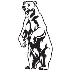 Obraz premium Standing Polar Bear Vector Design