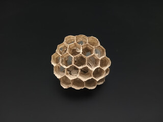Empty and dry wasp nest with hexagonal cells on dark background