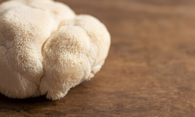 Hericium erinaceus mushroom on wooden background