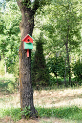 Homemade wooden birdhouse in red and green color, attached to the trunk of a tree, vertical photo.