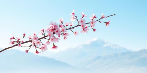 Obraz premium Delicate pink cherry blossom branch extending towards a serene blue mountain range on a clean white backdrop, white background, mountains