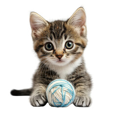 A kitten is playing with a blue and white ball
