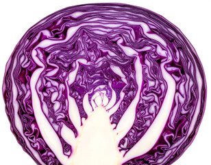 Obraz premium Showing amazing purple cabbage cross section on white background