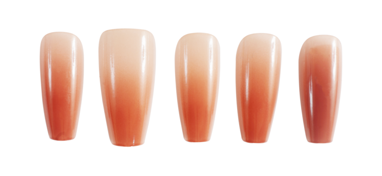 set of fake nails isolated element