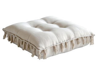 A white pillow with fringe on the edge