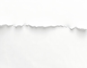 Fototapeta premium Torn white paper edge with subtle shadows and texture